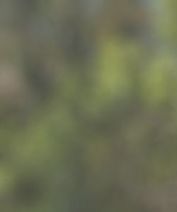 Photo of Benjamin Dickinson Photo of Benjamin Dickinson