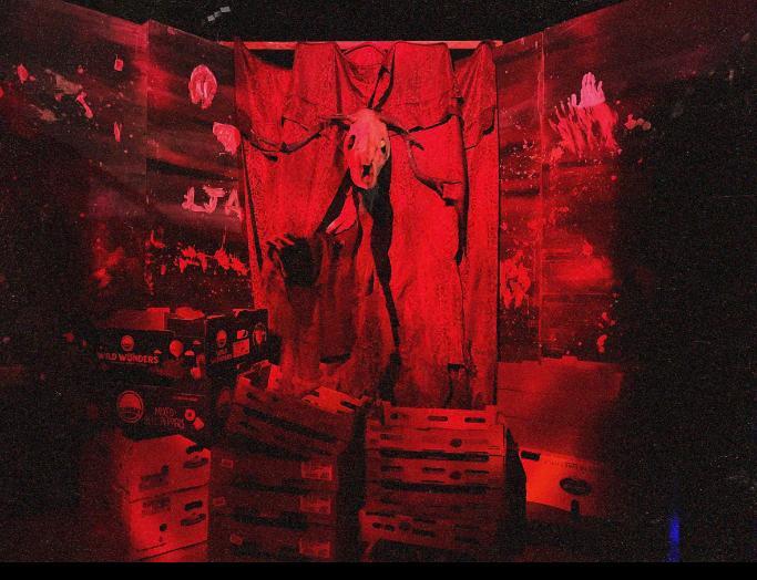 Picture of decoration from haunted house, featuring animal skull and red lighting.